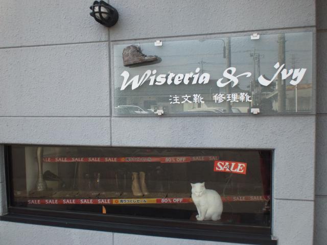 手製靴工房　Wisteria&Ivy　（有）キミインターナショナル