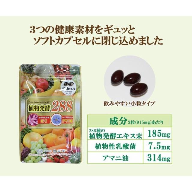 植物発酵288 60粒 健康食品 植物性乳酸菌K-1 アマニ油 n-3系脂肪酸 腸活