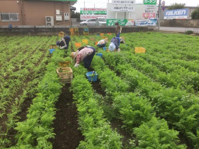 農業生産法人うしおだ株式会社
