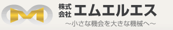 株式会社エムエルエス